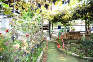 Billede fra billedgalleriet på chelo i Ambrolauri