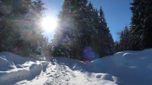 Geelink's Berghütte v zimě