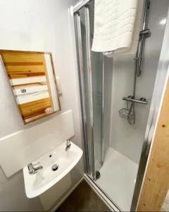 a bathroom with a shower and a sink and a mirror at Lake View Lodge Pod in Chichester