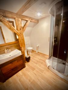 Koupelna v ubytování Apartmán Růžák + 37 fotografií