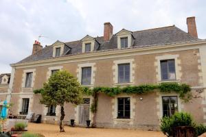 an old house with a tree in front of it at La Demeure de l'Aubance in Saint-Mélaine-sur-Aubance