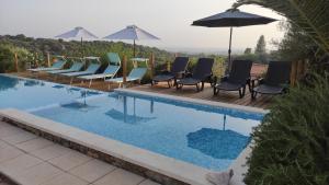 eine Reihe von Stühlen und ein Sonnenschirm neben einem Pool in der Unterkunft villa Orchidee Sardegna in Capitana