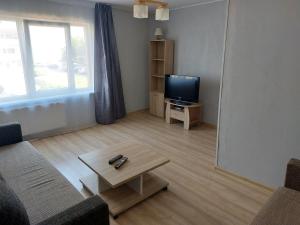 un salon avec un canapé et une télévision dans l'établissement Inzenieru 77 Apartments, à Ventspils