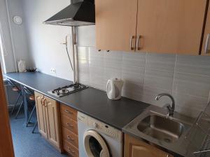 une cuisine avec un évier et une machine à laver dans l'établissement Inzenieru 77 Apartments, à Ventspils
