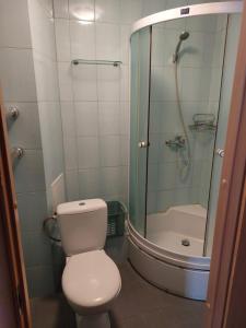 une salle de bain avec toilettes et douche dans l'établissement Inzenieru 77 Apartments, à Ventspils