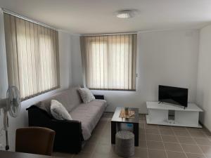 ein Wohnzimmer mit einem Sofa und einem TV in der Unterkunft Boja Zalaska 2 in Jagodina