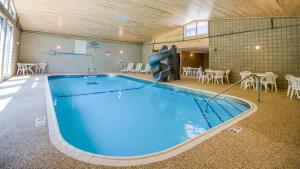 - une piscine avec un dauphin gonflable dans un bâtiment dans l'établissement Walker Hotel, à Walker