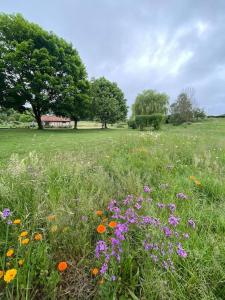 a field of flowers in a field with trees at Spacious country house in Normandie in Moulins-le-Carbonnel