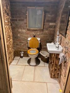 a bathroom with a toilet and a sink at Burtree Country House and Retreats Tipi in Thirkleby