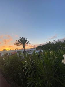 Zdjęcie z galerii obiektu precioso alojamiento en costa del silencio w Aronie