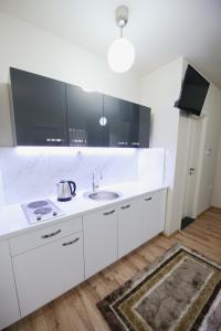 Kuhinja ili čajna kuhinja u objektu Millenium Travel Apartments