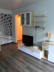 TV a/nebo společenská místnost v ubytování Reiu Apartment