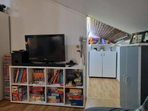 Knihovna v apartmánu