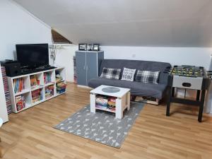 Televízia a/alebo spoločenská miestnosť v ubytovaní Apartman Atelier