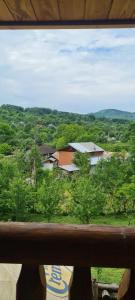 Gallery image of Cabana Bradului in Breaza