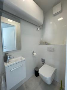 Vannituba majutusasutuses Izi Apartman