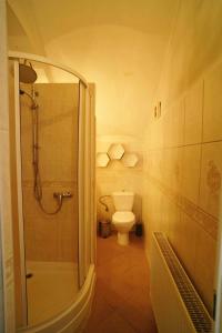 Koupelna v ubytování Apartmán U kostela
