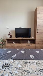 Een TV en/of entertainmentcenter bij Родопска къща за гости с.ЧАЛА
