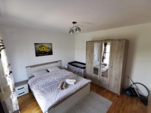 1 dormitorio con cama y espejo en Apartman San, en Vrnjačka Banja