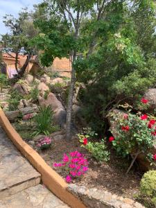 A garden outside Casa MìMì