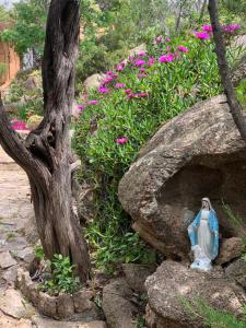 A garden outside Casa MìMì