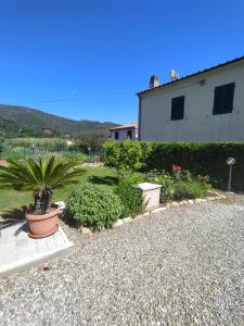 a garden with a potted plant and a building at Appartamento Le Ancore in Marciana Marina