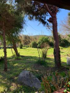 A garden outside Casa MìMì