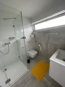 Vannituba majutusasutuses Izi Apartman
