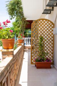 um jardim com vasos de plantas e uma cerca de madeira em Asteri Studios em Kalamaki