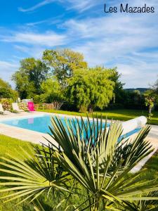 a palm tree in front of a swimming pool at Les Mazades à 10 min de Périgueux avec piscine chauffée, meublé de tourisme classé 3 étoiles in Annesse-et-Beaulieu