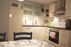 Kuchyň nebo kuchyňský kout v ubytování Ferienwohnung Glusavinahüsle