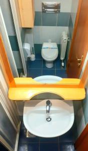 een kleine badkamer met een wastafel en een toilet bij KRALJEVI KONACI - Vila Zelena Dolina - Zlatibor in Zlatibor +53 foto's