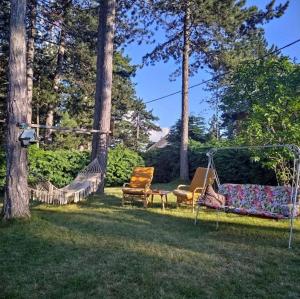 a yard with two chairs and a swing at Vila Milovanovic TARA in Bajina Bašta