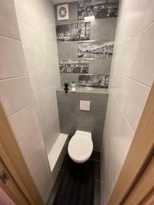 a small bathroom with a toilet in a room at BLUE SKY APARTMENT in Jūrmala