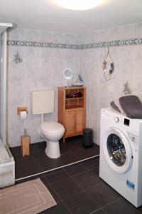 a bathroom with a toilet and a washing machine at FeWo -schiefe- Marie in Oberlungwitz