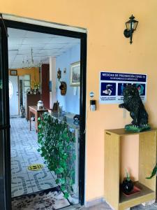 una statua di orso seduta su uno scaffale di fronte ad una porta di Black Lion Inn a Santiago