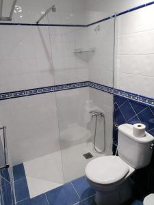 e bagno con doccia, servizi igienici e vasca. di Apartamentos Risco Verde a Arinaga