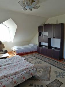 a bedroom with two beds and a television in it at Fodor Vendégház in Racu
