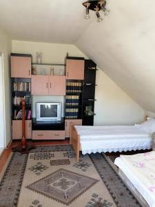 a living room with two beds and a tv at Fodor Vendégház in Racu