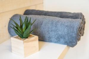 une plante en pot assise sur une table à côté d'un canapé dans l'établissement oo Le jardin oo paisible studio équipé et bien placé, à Quimper