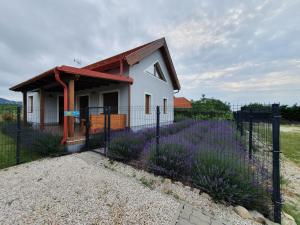 a small house with a fence and purple flowers at Árvalányhaj Vendégház in Balatonakali