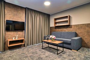 奧洛穆茨的住宿－ABA Apartments，客厅配有蓝色的沙发和电视