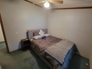 a bedroom with a bed and a ceiling fan at Camp Not Found - 3 Queen Bedrooms by the lake in Hartstown