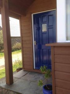 a blue door of a house with a potted plant at The Annexe at Pridden in Saint Buryan
