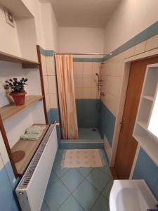 Koupelna v ubytování Apartmány Vranov