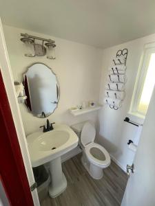 uma casa de banho com um lavatório, um WC e um espelho. em Sugarloaf Mountain Motel em Virginia City