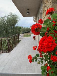 un montón de flores rojas en un porche en Casa Bruna, 3-room apartment with private garden, en Torri del Benaco