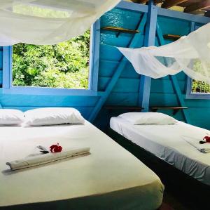 Habitación azul con 2 camas y ventana en Hostal Doble Vista en Capurganá