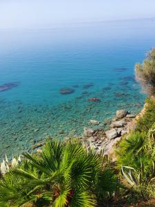 una colina con palmeras y vistas al océano en Casa Guido, en Cittadella del Capo