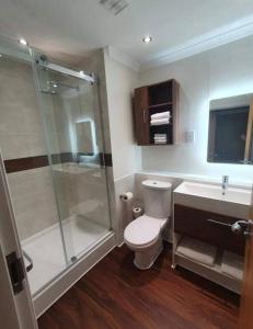 y baño con ducha, aseo y lavamanos. en Ultra-Luxury City centre 2 bed apartment, with FREE parking, en Cardiff